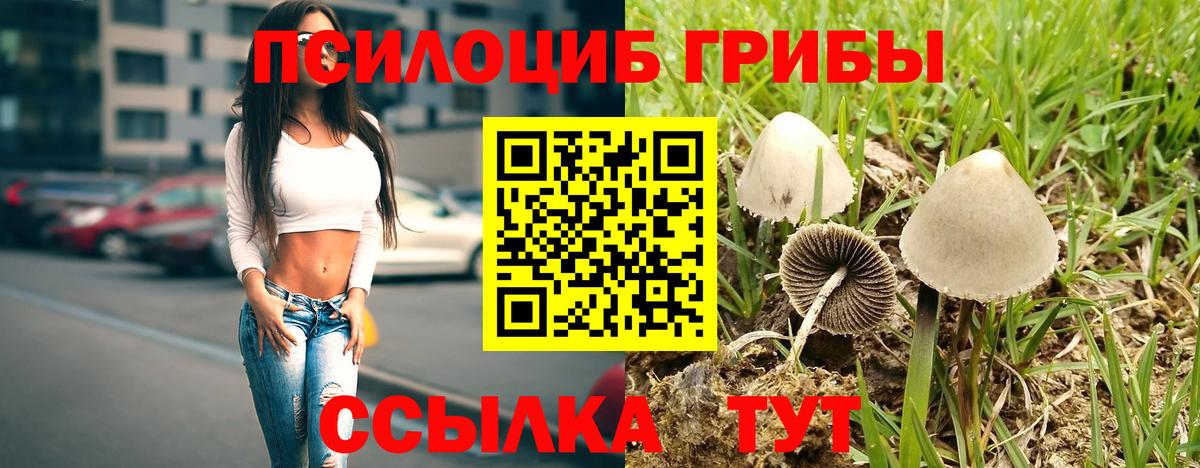 Обь  Галлюциногенные грибы Cubensis  Вход с VPN  Галлюциногенные грибы мухоморы 