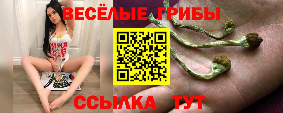 Галлюциногенные грибы GOLDEN TEACHER Обь